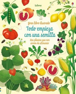 TODO EMPIEZA CON UNA SEMILLA | 9781474944533 | BONE, EMILY | Librería Castillón - Comprar libros online Aragón, Barbastro