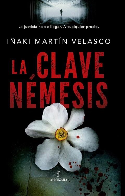 La clave Némesis | 9788417044602 | Martín Velasco, Ignacio | Librería Castillón - Comprar libros online Aragón, Barbastro