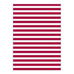 BOLSA PLASTICO DISFRAZ 65 x 90 cm 5 UD RAYAS ROJO Y BLANCO PAYASO  | 8413623027217 | Librería Castillón - Comprar libros online Aragón, Barbastro