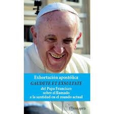 GAUDETE ET EXSULTATE EXHORTACION APOSTOLICA PAPA FRANCISCO | 9788427141872 | PAPA FRANCISCO | Librería Castillón - Comprar libros online Aragón, Barbastro