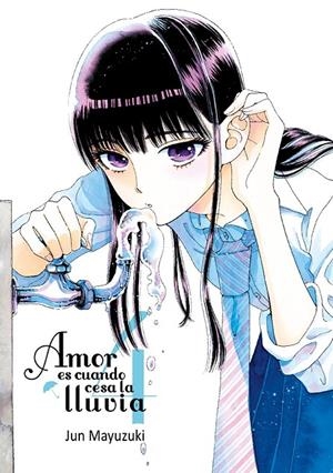 Amor es cuando cesa la lluvia, vol.4 | 9788416188543 | Mayuzuki, Jun | Librería Castillón - Comprar libros online Aragón, Barbastro