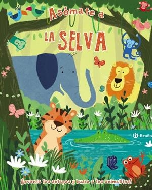 Asómate a la selva | 9788469622841 | VV.AA. | Librería Castillón - Comprar libros online Aragón, Barbastro