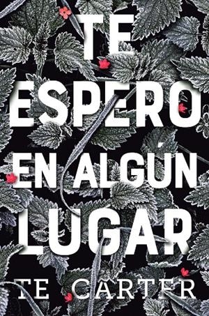 Te espero en algún lugar | 9788494811319 | T.E. Carter | Librería Castillón - Comprar libros online Aragón, Barbastro