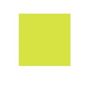 CARTULINA CANSON IRIS VIVALDI 50X65CM 185GR VERDE 88 | 3148950120151 | Librería Castillón - Comprar libros online Aragón, Barbastro