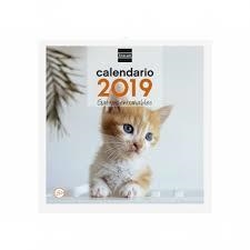 CALENDARIO 2019 DE PARED PARA ESCRIBIR - GATITOS ENTRAÑABLES | 8422952173878 | Librería Castillón - Comprar libros online Aragón, Barbastro