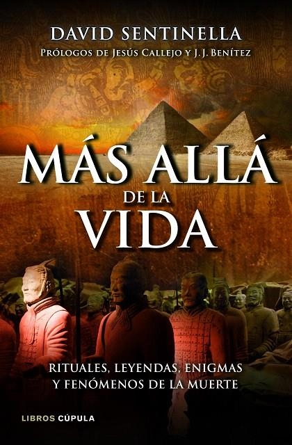 Más allá de la vida | 9788448069049 | Sentinella, David | Librería Castillón - Comprar libros online Aragón, Barbastro