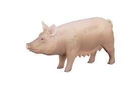 FIGURA DEQUBE CERDO-M | 4892900880068 | Librería Castillón - Comprar libros online Aragón, Barbastro