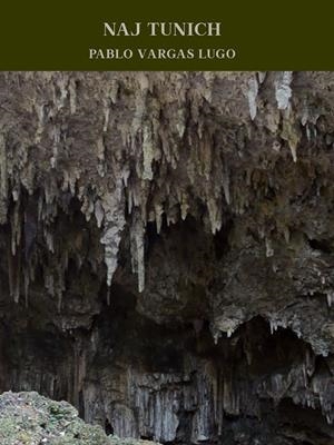 Naj Tunich : Pablo Vargas Lugo | 9788417141257 | Vargas Lugo, Pablo | Librería Castillón - Comprar libros online Aragón, Barbastro