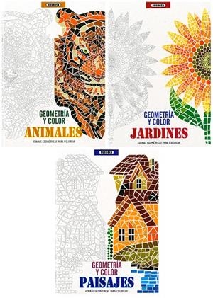Geometría y color (3 títulos) | 9788467765502 | Susaeta, Equipo | Librería Castillón - Comprar libros online Aragón, Barbastro
