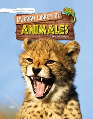Mi gran libro de animales | 9788491422761 | POMPEÏ, CHRISTINE | Librería Castillón - Comprar libros online Aragón, Barbastro