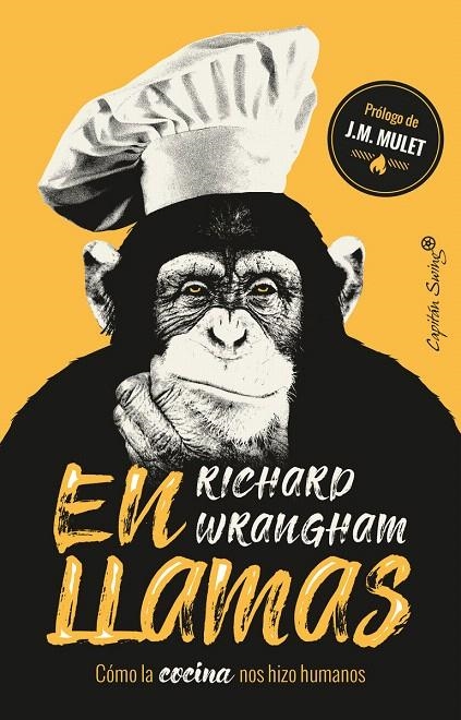 En llamas | 9788494966873 | Wrangham, Richard | Librería Castillón - Comprar libros online Aragón, Barbastro