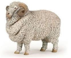 FIGURA PAPO OVEJA MERINA | 3465000511746 | Librería Castillón - Comprar libros online Aragón, Barbastro