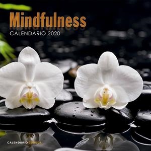 Calendario Mindfulness 2020 | 9788448026110 | VV.AA. | Librería Castillón - Comprar libros online Aragón, Barbastro
