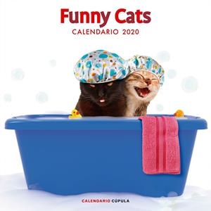 Calendario PARED Funny Cats 2020 | 9788448026141 | VV.AA. | Librería Castillón - Comprar libros online Aragón, Barbastro