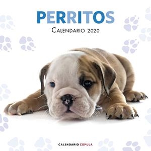 Calendario pared  Perritos 2020 | 9788448026158 | VV.AA. | Librería Castillón - Comprar libros online Aragón, Barbastro