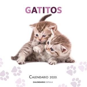 Calendario pared  Gatitos 2020 | 9788448026165 | VV.AA. | Librería Castillón - Comprar libros online Aragón, Barbastro
