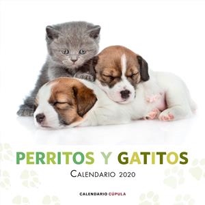 Calendario pared Perritos y gatitos 2020 | 9788448026172 | VV.AA. | Librería Castillón - Comprar libros online Aragón, Barbastro