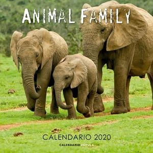 Calendario pared Animal Family 2020 | 9788448026189 | VV.AA. | Librería Castillón - Comprar libros online Aragón, Barbastro
