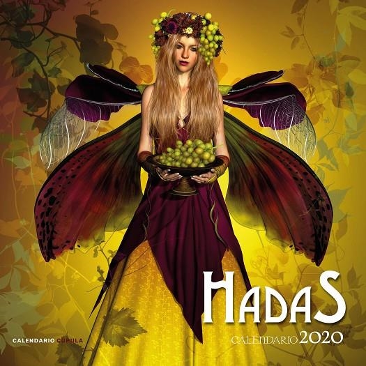 Calendario pared Hadas 2020 | 9788448026240 | VV.AA. | Librería Castillón - Comprar libros online Aragón, Barbastro