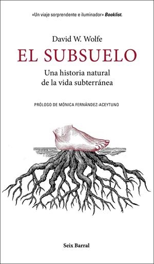 El subsuelo | 9788432235603 | Wolfe, David W. | Librería Castillón - Comprar libros online Aragón, Barbastro