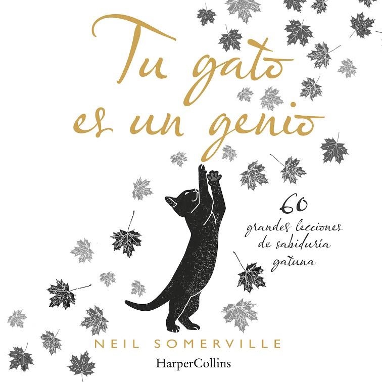 Tu gato es un genio. 60 grandes lecciones de sabiduría gatuna | 9788491394211 | Somerville, Neil | Librería Castillón - Comprar libros online Aragón, Barbastro