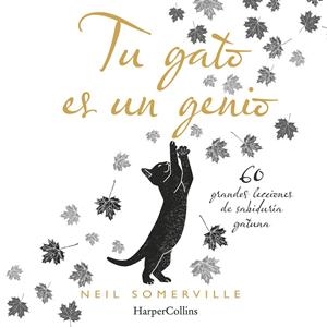 Tu gato es un genio. 60 grandes lecciones de sabiduría gatuna | 9788491394211 | Somerville, Neil | Librería Castillón - Comprar libros online Aragón, Barbastro