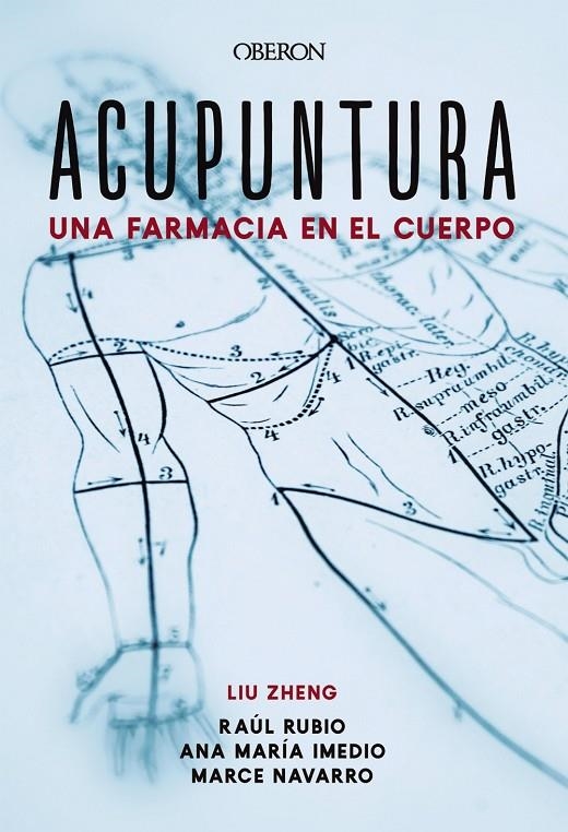 Acupuntura. Una farmacia en el cuerpo | 9788441541313 | Zheng, Liu/Imedio Carnicero, Ana María/Rubio Muñoz, Raúl/Navarro Muñoz, Marcelina | Librería Castillón - Comprar libros online Aragón, Barbastro
