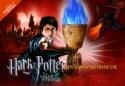 HARRY POTTER Y EL CALIZ DE FUEGO DIARIO CONFIDENCIAL | 9788466622448 | VARIOS | Librería Castillón - Comprar libros online Aragón, Barbastro