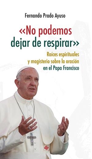NO PODEMOS DEJAR DE RESPIRAR | 9788479667054 | PRADO AYUSO, FERNANDO | Librería Castillón - Comprar libros online Aragón, Barbastro