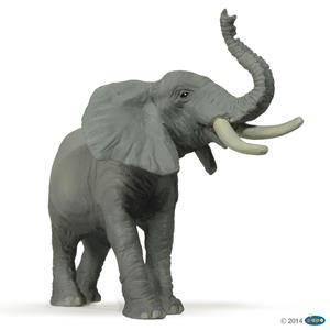 FIGURA PAPO ELEFANTE AFRICANO | 3465000502157 | Librería Castillón - Comprar libros online Aragón, Barbastro