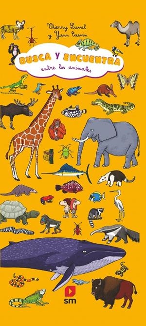Busca y encuentra entre los animales | 9788413181745 | Laval, Thierry | Librería Castillón - Comprar libros online Aragón, Barbastro
