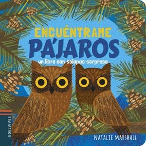 P&#225;jaros | 9788414025154 | Marshall, Natalie | Librer&#237;a Castill&#243;n - Comprar libros online Arag&#243;n, Barbastro