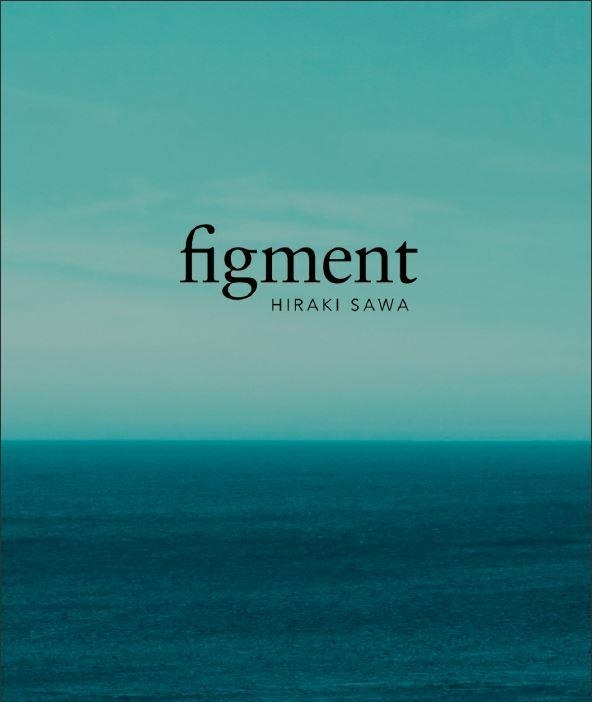 Figment | 9788480816717 | Sawa, Hiraki | Librería Castillón - Comprar libros online Aragón, Barbastro