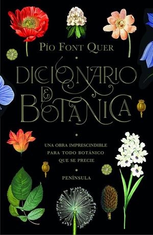 Diccionario de botánica | 9788499429076 | Font Quer, Pío | Librería Castillón - Comprar libros online Aragón, Barbastro