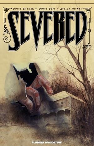 Severed | 9788415480211 | Snyder, Scott | Librería Castillón - Comprar libros online Aragón, Barbastro