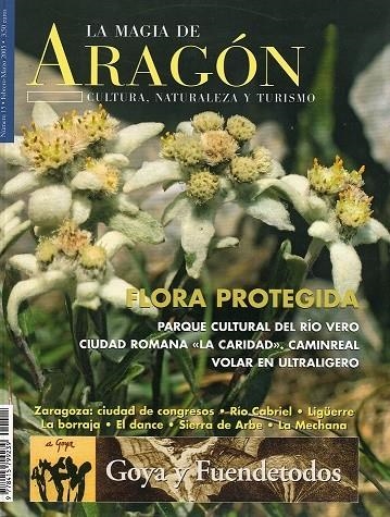 REVISTA LA MAGIA DE ARAGÓN 15 FEBRERO MARZO 2005 | 9999900011326 | Librería Castillón - Comprar libros online Aragón, Barbastro