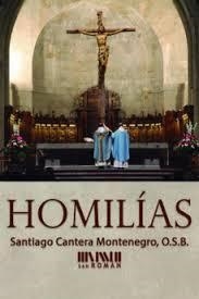 Homilías | 9788494493492 | Cantera Montenegro, Santiago | Librería Castillón - Comprar libros online Aragón, Barbastro