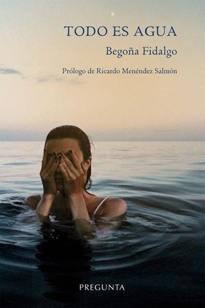 Todo es agua | 9788417532338 | Fidalgo, Begoña | Librería Castillón - Comprar libros online Aragón, Barbastro