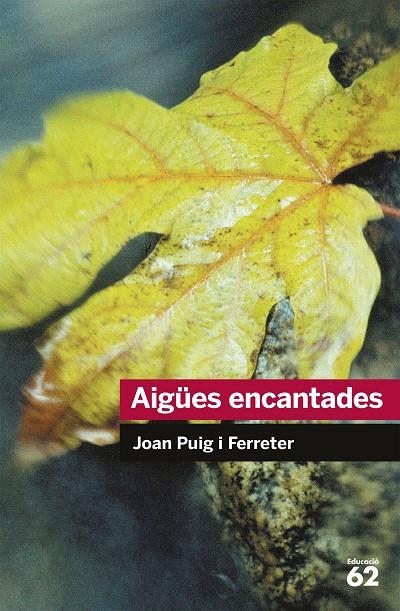 Aigües encantades | 9788492672431 | Puig Ferreter, Joan | Librería Castillón - Comprar libros online Aragón, Barbastro