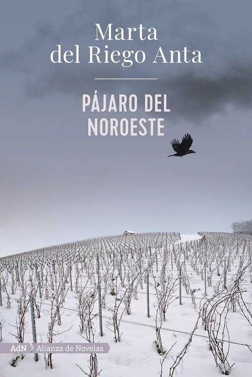 Pájaro del noroeste (AdN) | 9788413620558 | Riego, Marta del | Librería Castillón - Comprar libros online Aragón, Barbastro