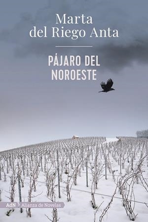 Pájaro del noroeste (AdN) | 9788413620558 | Riego, Marta del | Librería Castillón - Comprar libros online Aragón, Barbastro