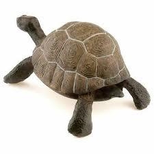 FIGURA PAPO TORTUGA | 3465000500139 | Librería Castillón - Comprar libros online Aragón, Barbastro