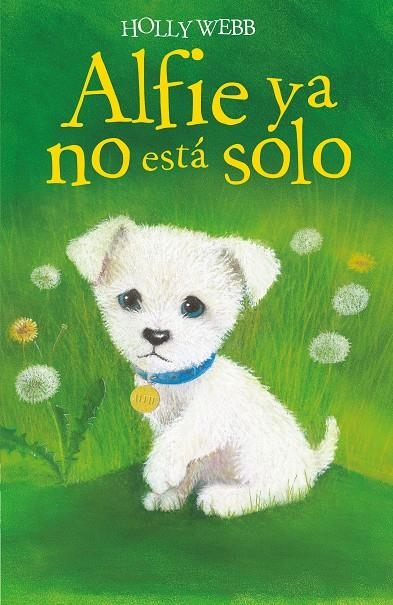 Alfie ya no está solo | 9788418139543 | Webb, Holly | Librería Castillón - Comprar libros online Aragón, Barbastro