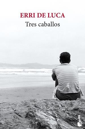Tres caballos | 9788432236921 | De Luca, Erri | Librería Castillón - Comprar libros online Aragón, Barbastro