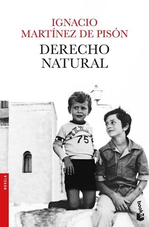 Derecho natural | 9788432234279 | Martínez de Pisón, Ignacio | Librería Castillón - Comprar libros online Aragón, Barbastro
