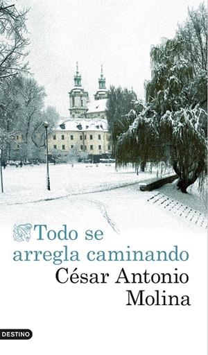 Todo se arregla caminando | 9788423350797 | Molina, César Antonio | Librería Castillón - Comprar libros online Aragón, Barbastro