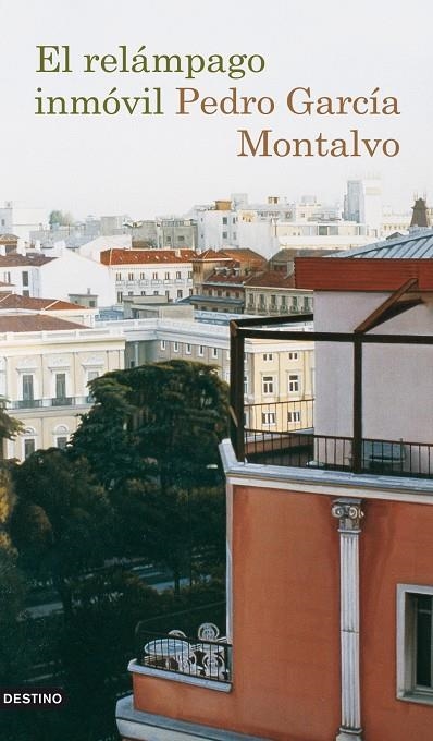 El relámpago inmóvil | 9788423341702 | García Montalvo, Pedro | Librería Castillón - Comprar libros online Aragón, Barbastro