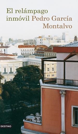 El relámpago inmóvil | 9788423341702 | García Montalvo, Pedro | Librería Castillón - Comprar libros online Aragón, Barbastro
