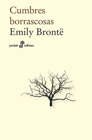 Cumbres borrascosas | 9788435021975 | Brontë, Emile | Librería Castillón - Comprar libros online Aragón, Barbastro