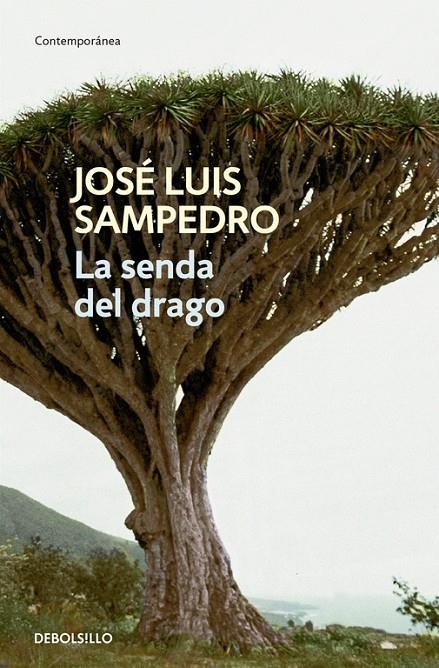 La senda del drago | 9788499897561 | José Luis Sampedro | Librería Castillón - Comprar libros online Aragón, Barbastro